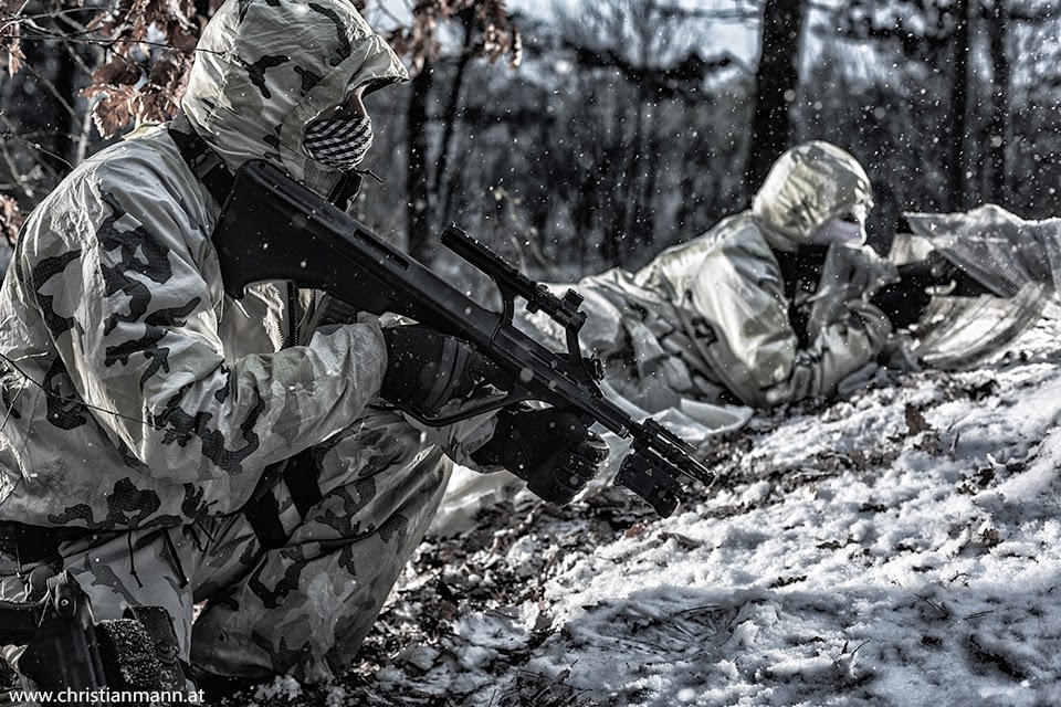 EKO Cobra (Einsatzkommando Cobra) Австрия.