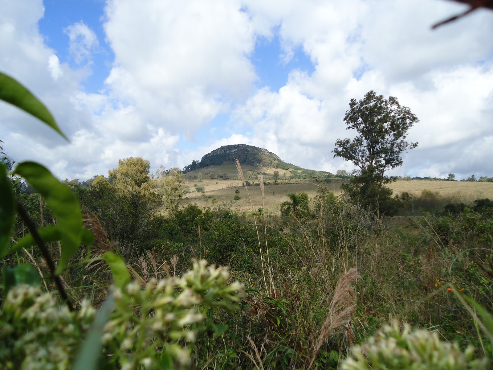 rppn-morro-sapucaia