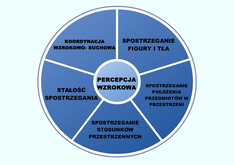 percepcja wzrokowa wzrok, spostzregawczość