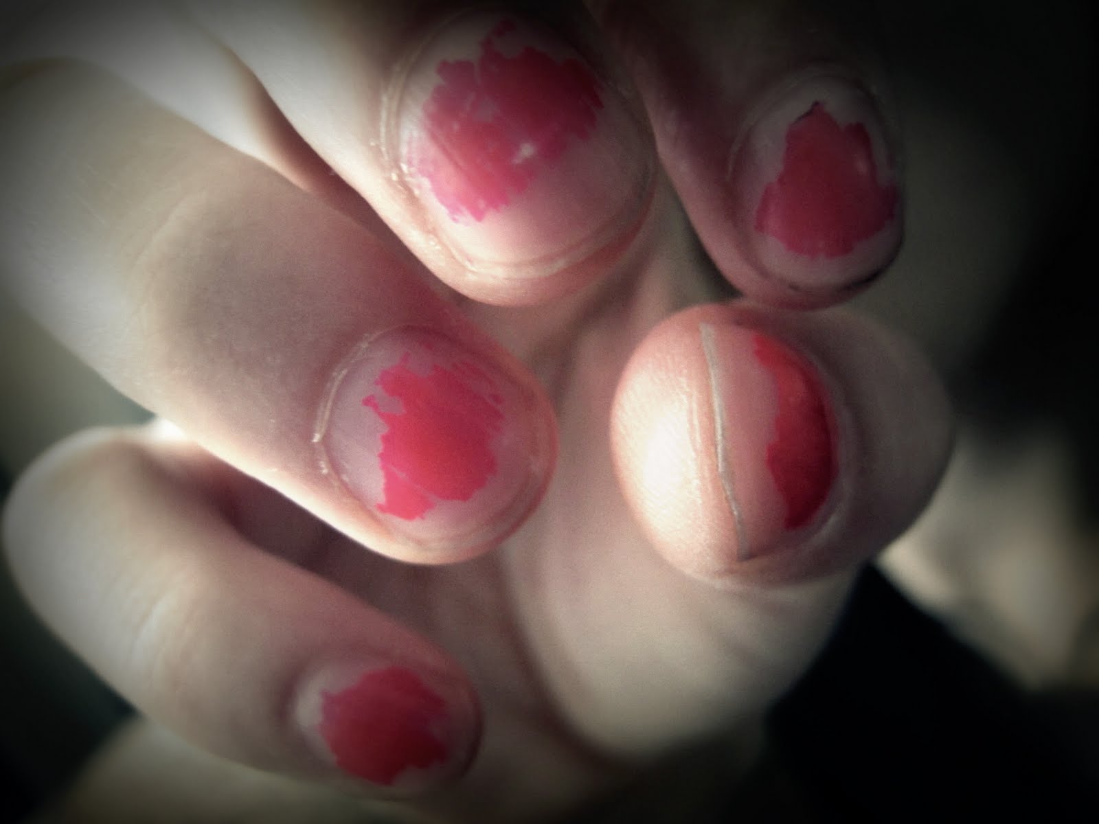 foureyes rella 3 Random photos from this morning.