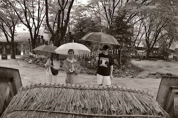 Korean Folk Village in the Rain