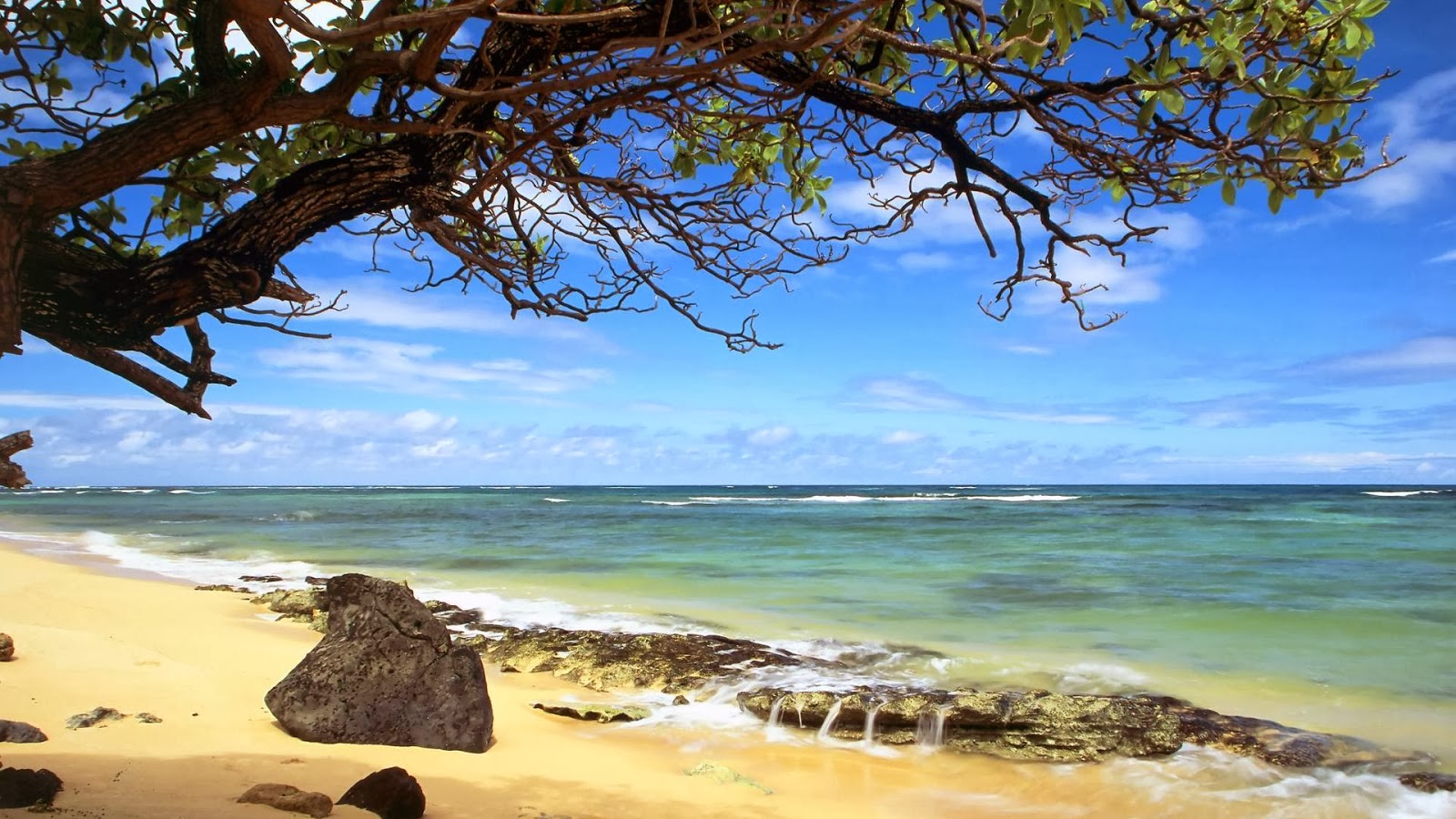 HD IMAGES BACKGROUNDS & WALLPAPERS