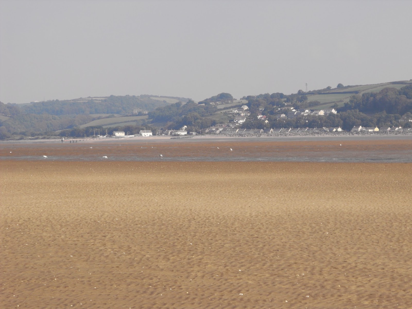 Codlinsandcream2 Enjoying the sunshine on Llansteffan Beach