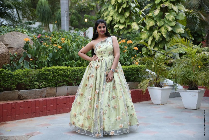 Anchor Shyamala at Naa Peru Surya success meet