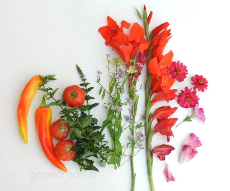 wildflowers and herb photography: grow creative