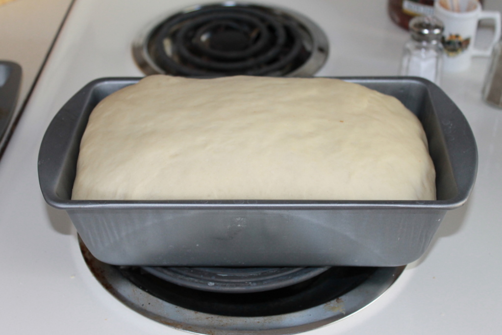 Learning the Ropes...One Recipe at a Time Homemade Bread