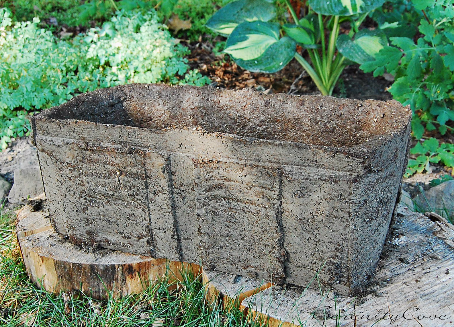Serenity Cove: Making a Hypertufa Planter