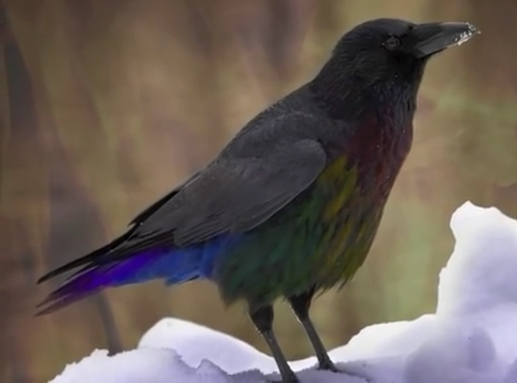 Mystery of Truth and E=mc2 Bearing Witness to the Light LII...Legend