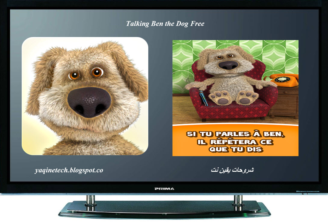 Talking Ben the Dog: The Grumpy Scientist Joins the Fray