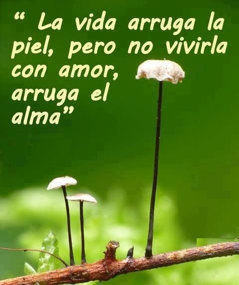 Resultado de imagen de pensamientos