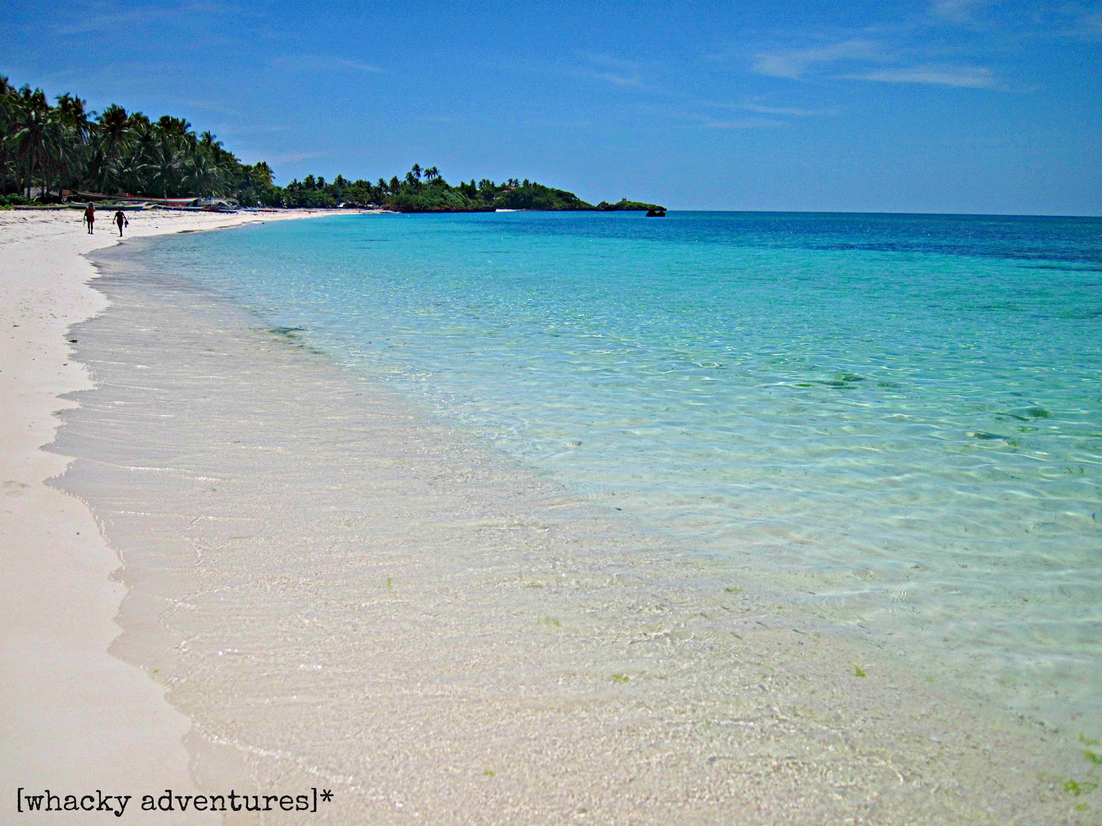 Whacky Adventures Whacky Sidetrip Malapascua Island Cebu