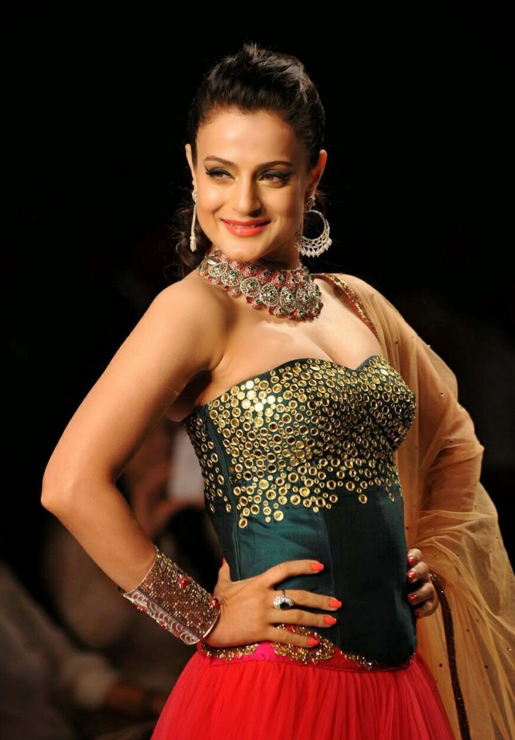 Honey Glitz: Ameesha Patel Hot Gallery at IIJW 2014 Fashion Show and HD