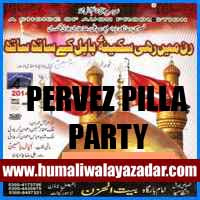 http://ishqehaider.blogspot.com/2013/11/parvez-pilla-party-nohay-2014.html