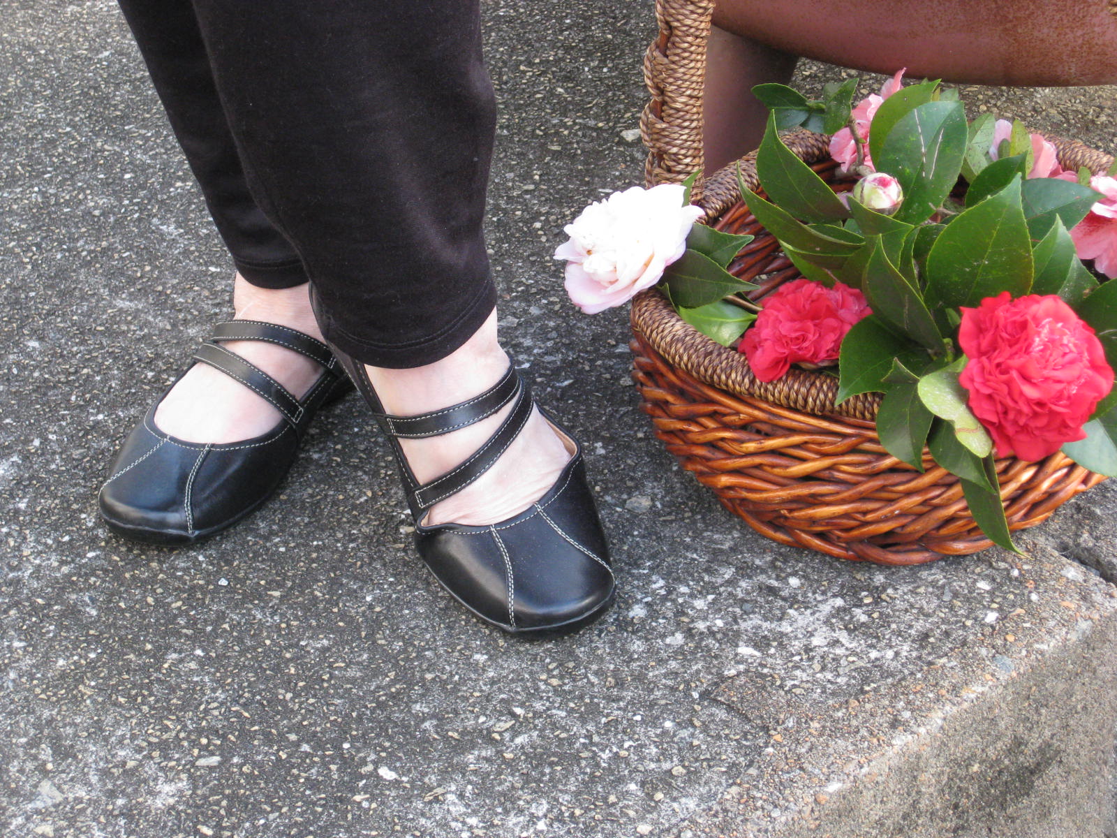 Learning to Balance Life Changes Finding Shoes for Our Arthritic Knees