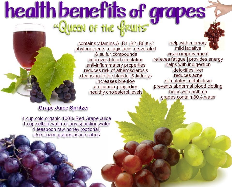 Wine Reviews For The Average Wine lover The Benefits Of Resveratrol