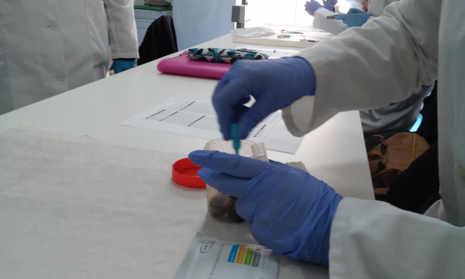 LABORATORIO DE DIAGNÓSTICO CLÍNICO TEST PARA SANGRE OCULTA EN HECES