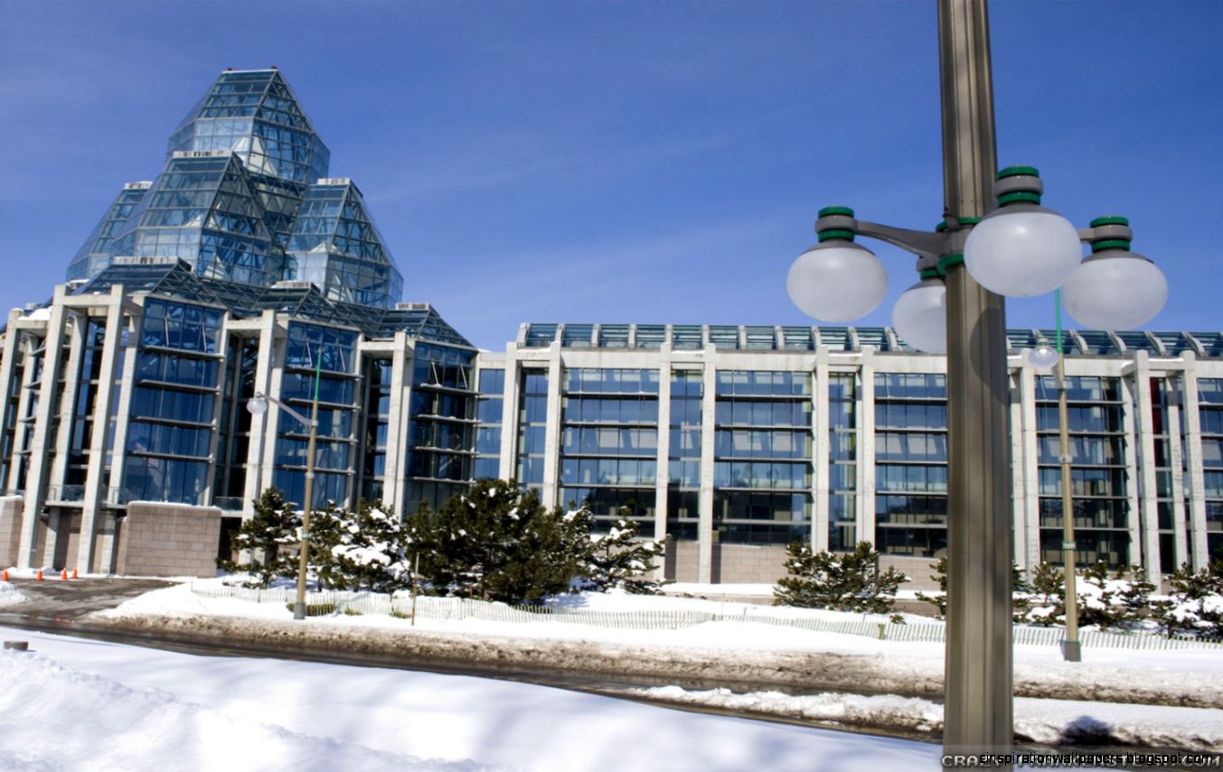 Ottawa wallpapers   Crazy Frankenstein