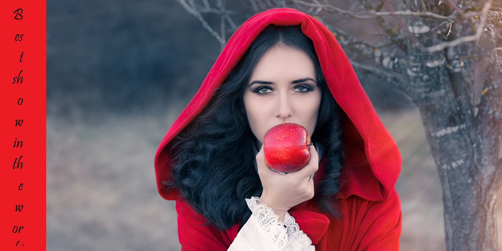 Best 10 Funny Halloween Costumes Ideas For 2016 funny dog