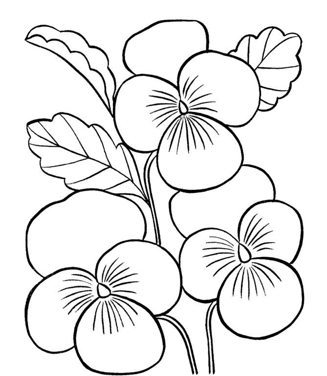 Gambar Mewarnai Bunga Matahari,Mawar,Tulip,Melati ...