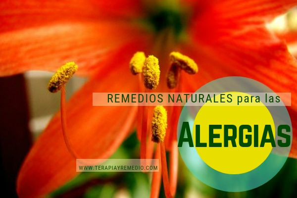 remedios naturales para combatir las alergias nasales , de la piel, etc.