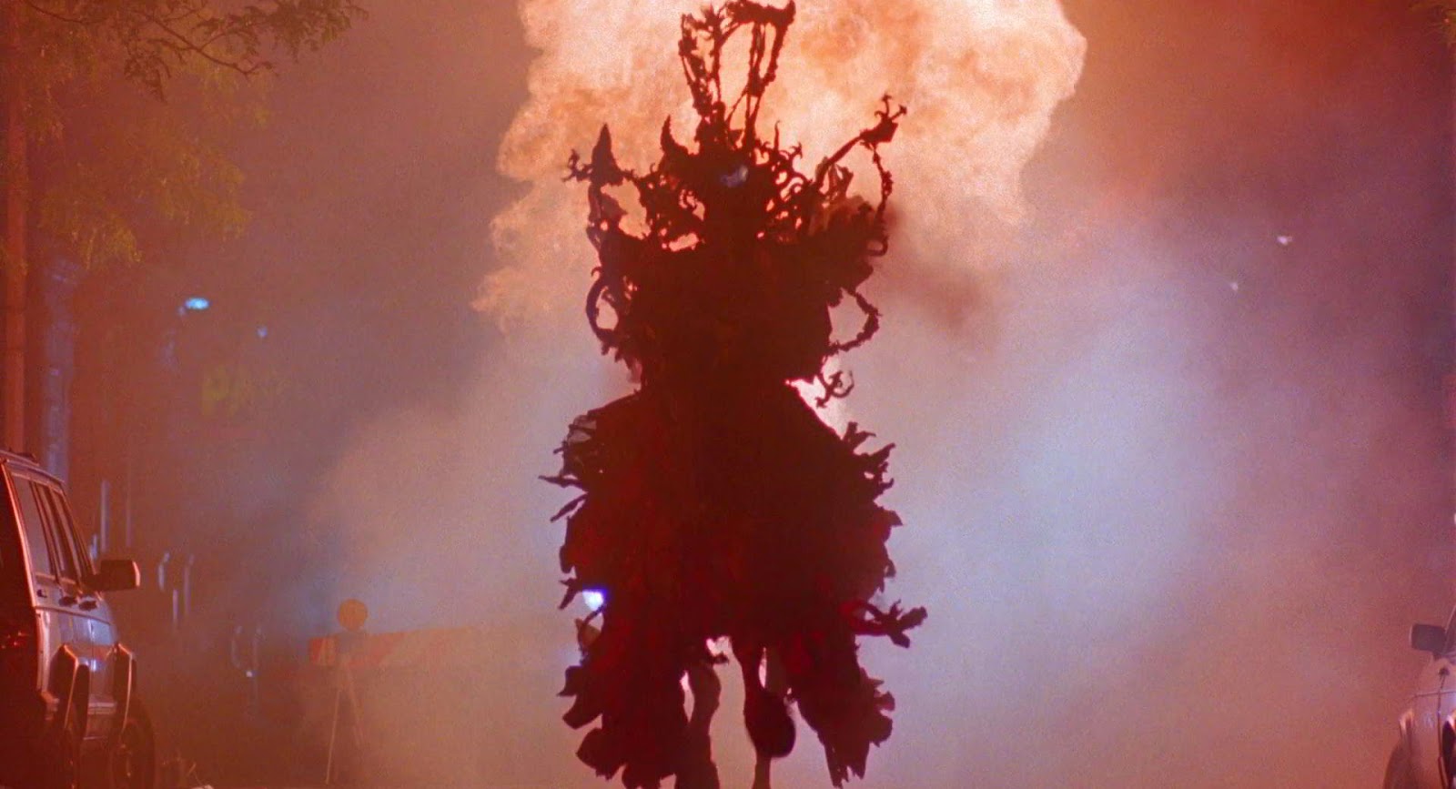 Accidental Enlightenment THE FISHER KING