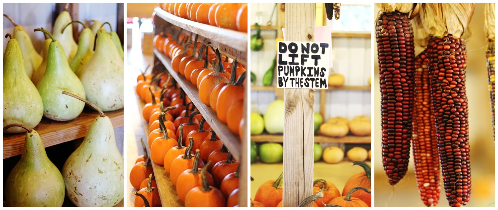 Yahoo Farms Jasper, GA