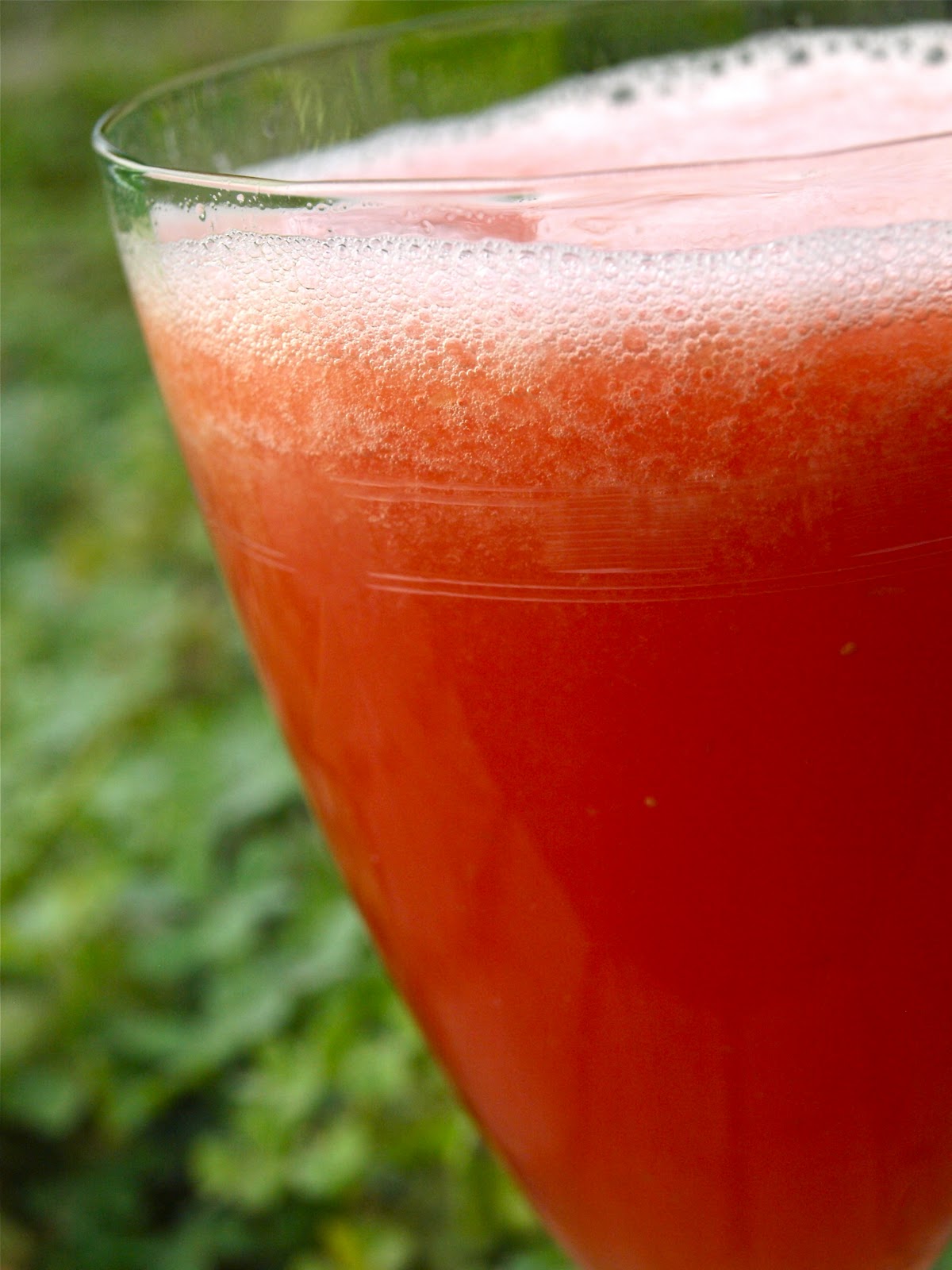 Vegan Reduction Project Day Twelve Raw Cleanse