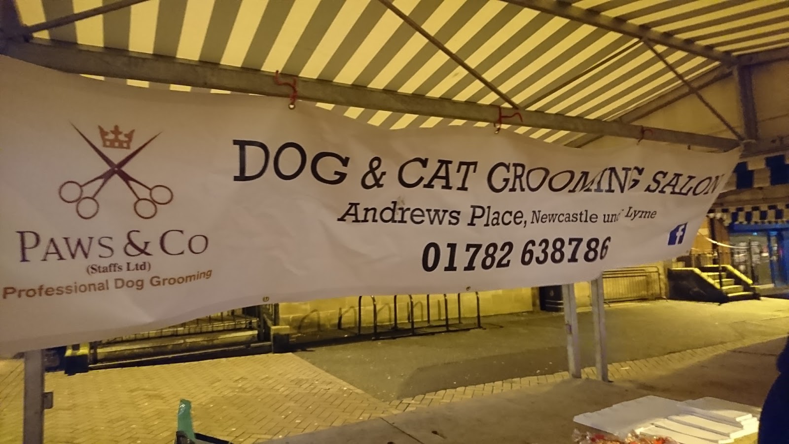 Christmas Pet Parade NewcastleunderLyme Staffordshire Paws