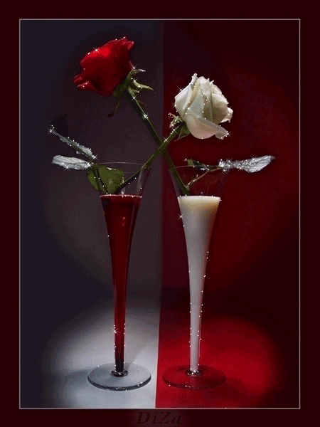 Rosas animadas mas bellas y poemas de amor
