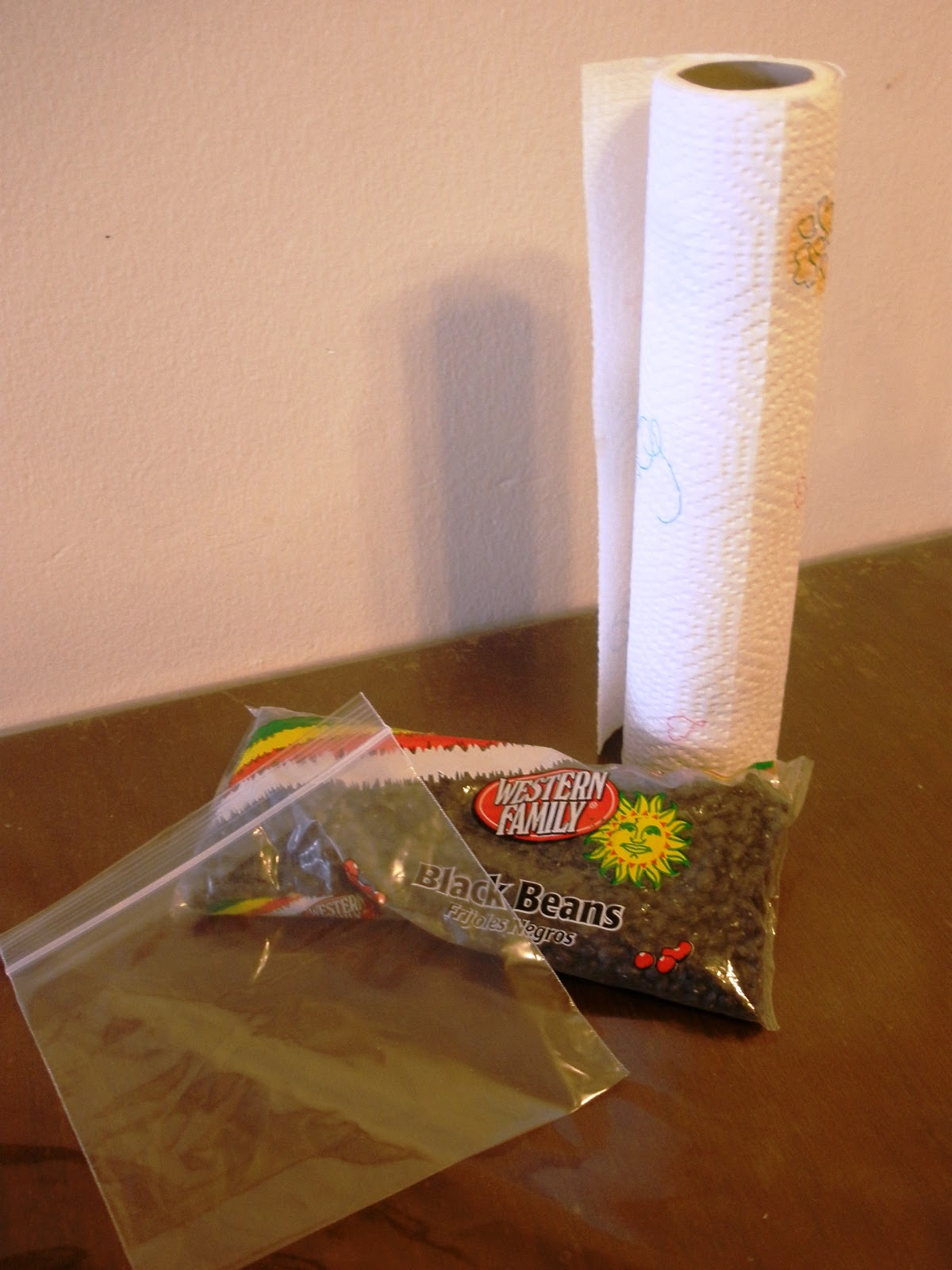 Baby Brainstorm Growing Seeds in a Bag