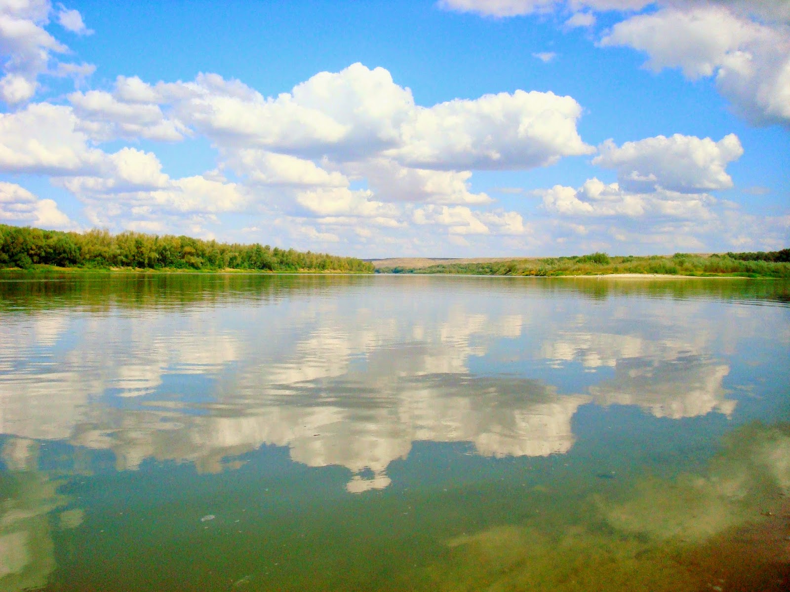 Река дон в волгоградской области