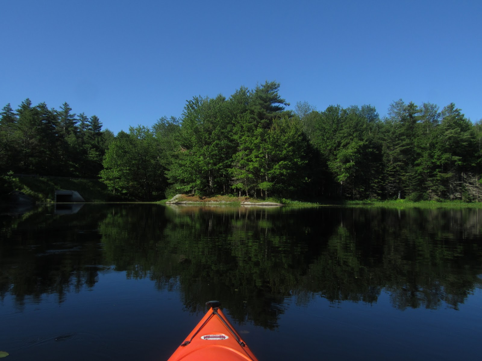 Recreational Kayaking in Maine: Runaround Pond - Durham
