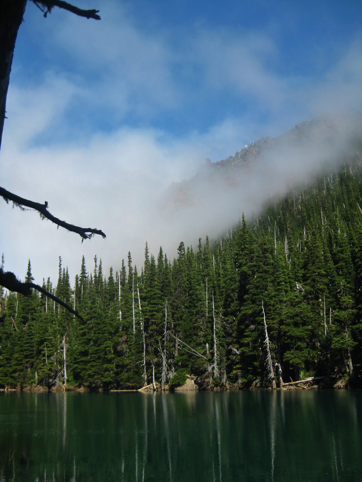 Olympic Peninsula Hikes, Guides and Updates Buckhorn Wilderness