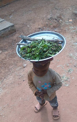 LITTLE BOY HAWKING LITTLE BOY HAWKING