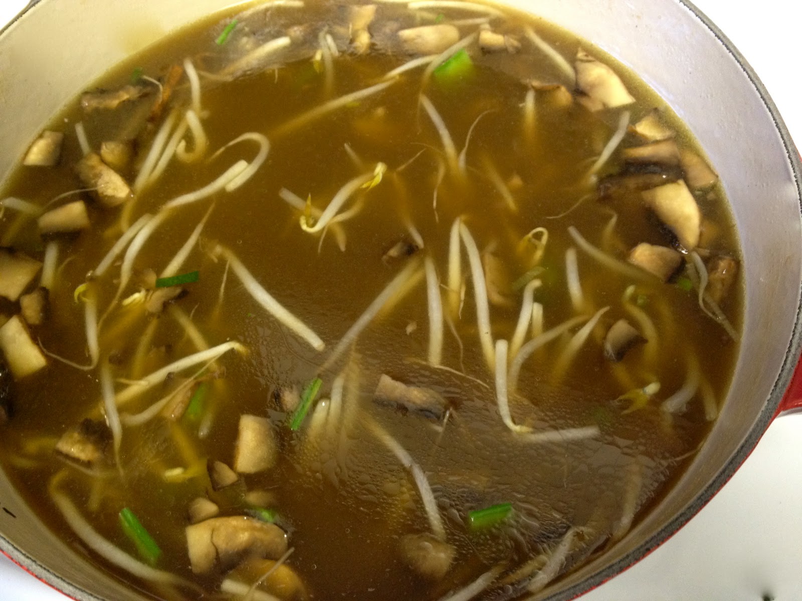 Chinese Chicken Soup