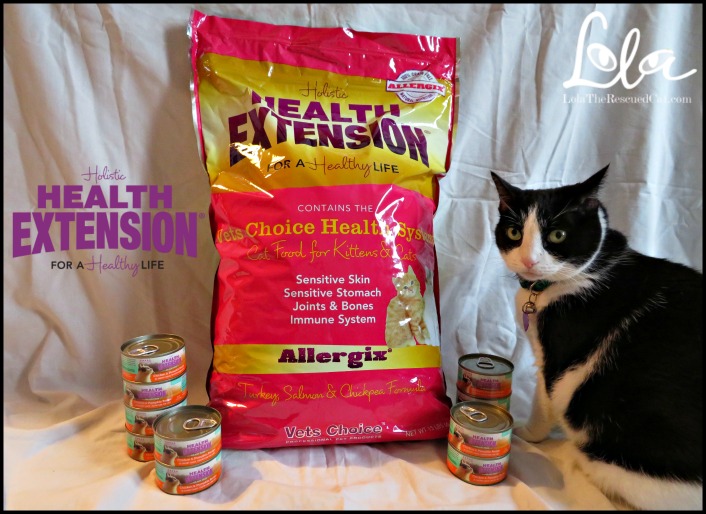 Holistic Health Extension Cat Food