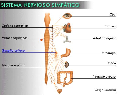 RECURSOS COMPLETOS: noviembre 2012