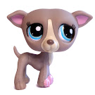 Littlest Pet Shop Multi Pack Greyhound (#1897) Pet Littlest Pet Shop Multi Pack Greyhound (#1897) Pet