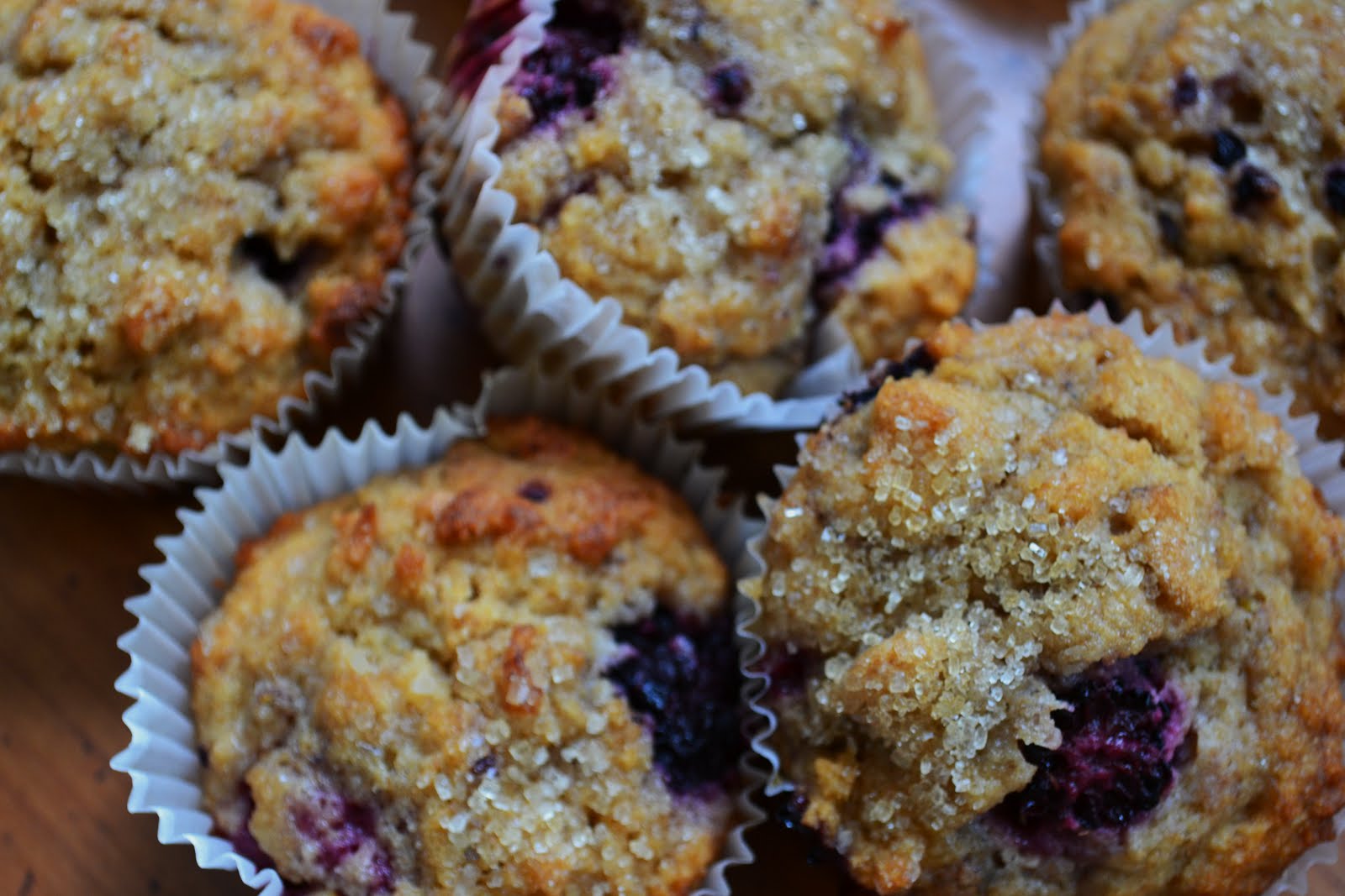 Nourish The Roots Whole Wheat Blackberry Muffins