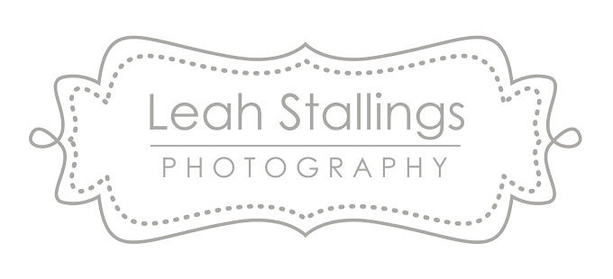 Leah Stallings Artistic Portraiture