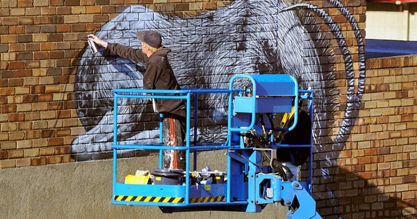 Animal street art in Johannesburg, South Africa