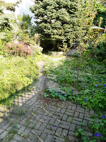 Toronto garden cleanup Cabbagetown backyard path before Paul Jung Gardening Services
