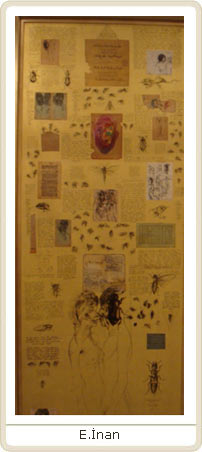 Okuma Atlası Sanat: Ergin İnan