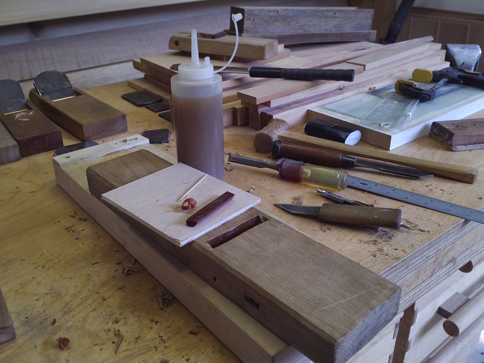 My peculiar nature The perfect glue Liquid hide glue success!