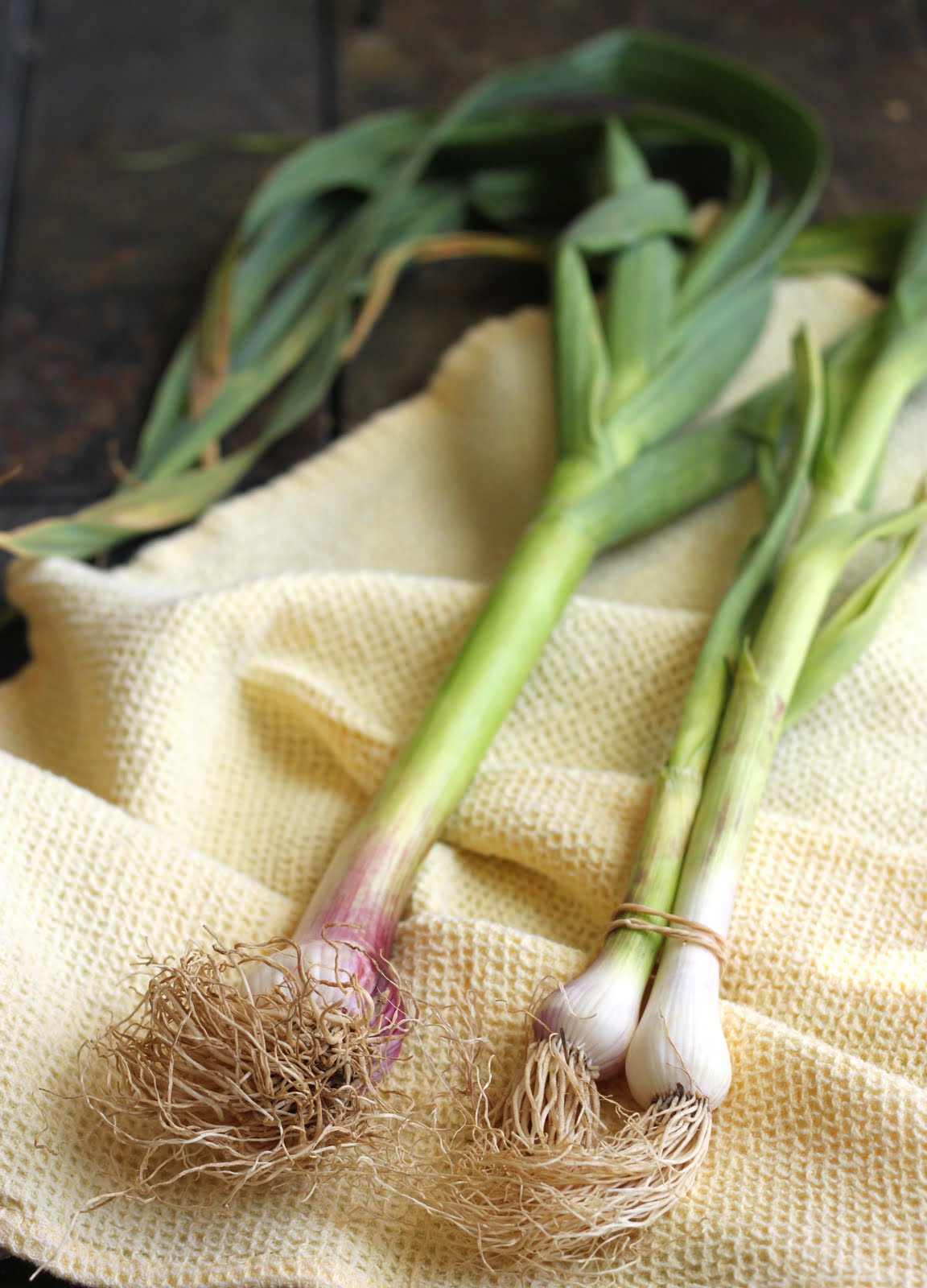 The Cilantropist Spring Quiche Asparagus, Green Garlic