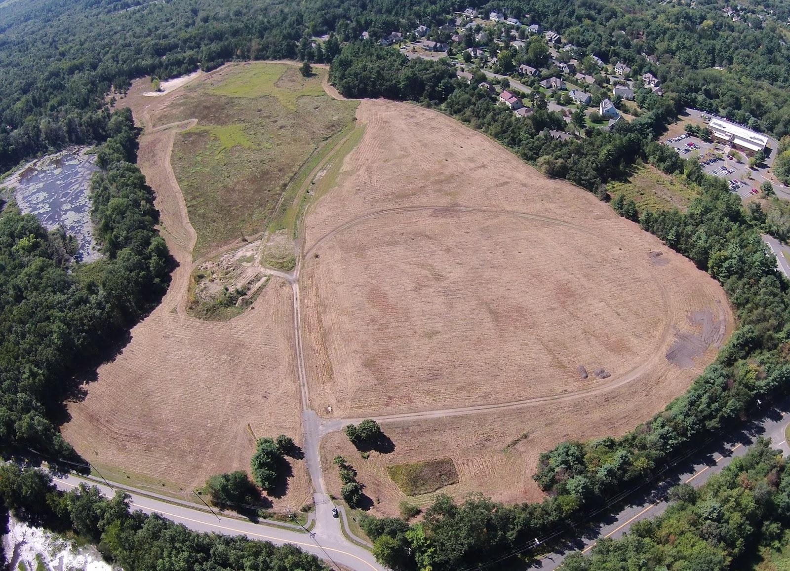Only in The Republic of Amherst Let The Sunshine, Let The Sunshine In
