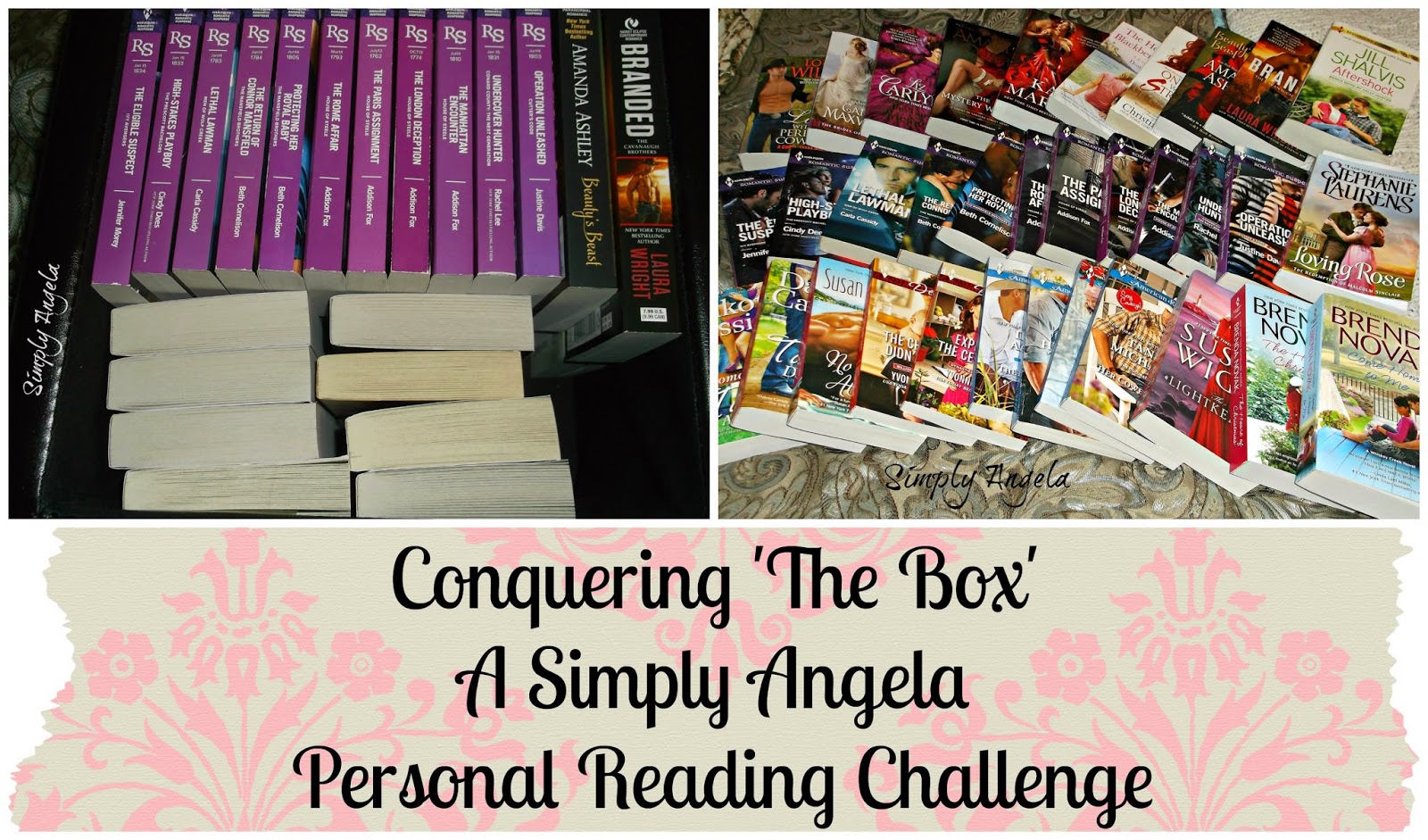 http://simplyangelarenee.blogspot.com/2015/01/personal-reading-challenge-conquering.html