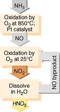 The Ostwald Process: Relation to Le Chatelier's Principle