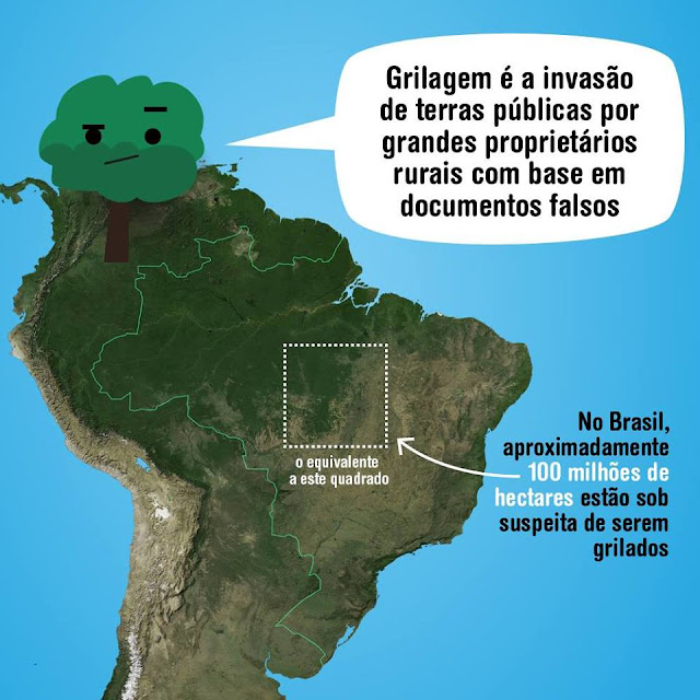 COMDEMA CRUZEIRO: GRILAGEM DE TERRAS NA AMAZÔNIA E O MONA ITAGUARE.