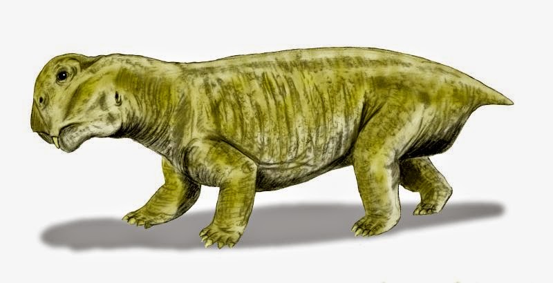 Lystrosaurus Nenek Moyang Dinosaurus
